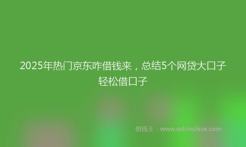 2025年热门京东咋借钱来，总结5个网贷大口子轻松借口子