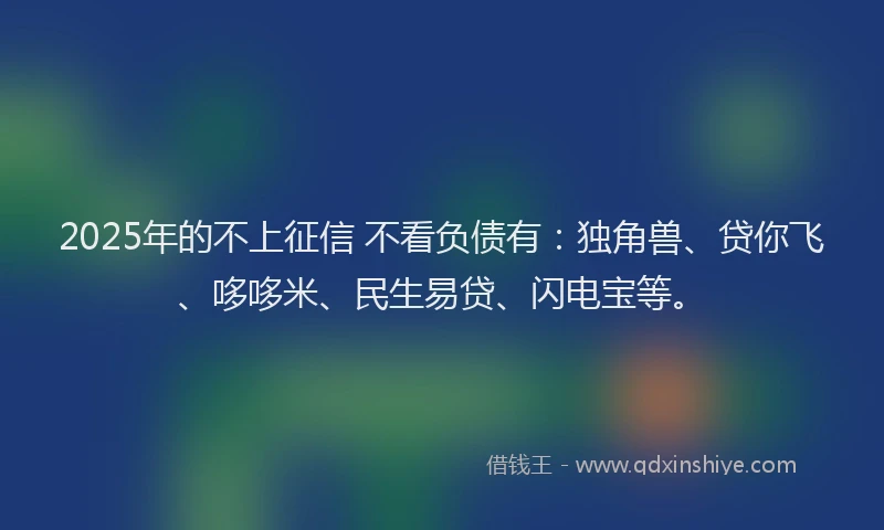 2025年的不上征信 不看负债有：独角兽、贷你飞、哆哆米、民生易贷、闪电宝等。