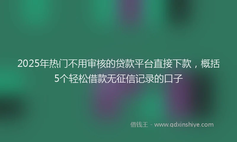 2025年热门不用审核的贷款平台直接下款，概括5个轻松借款无征信记录的口子
