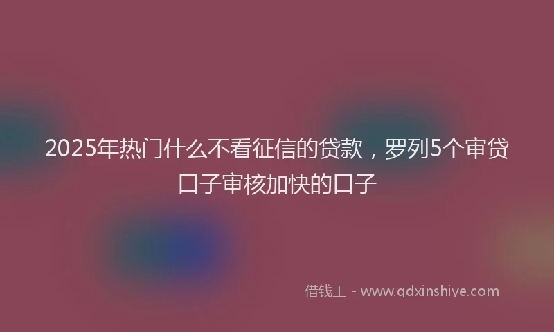2025年热门什么不看征信的贷款，罗列5个审贷口子审核加快的口子