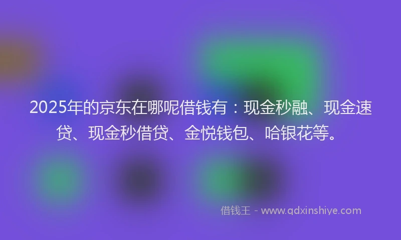 2025年的京东在哪呢借钱有：现金秒融、现金速贷、现金秒借贷、金悦钱包、哈银花等。