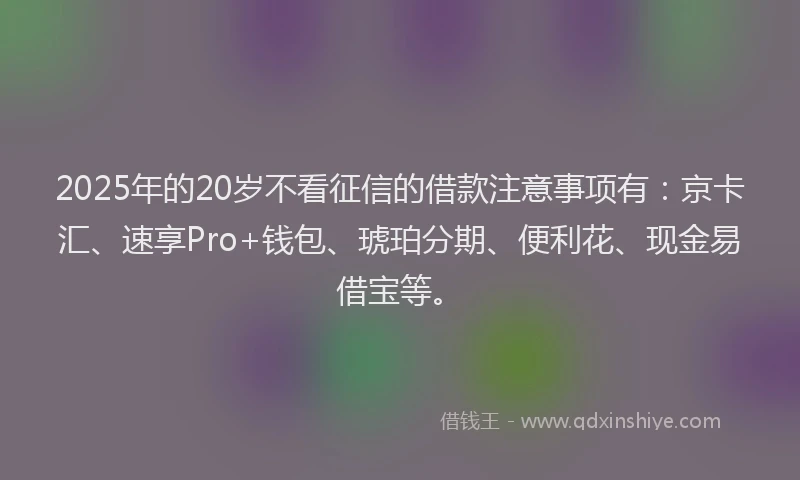 2025年的20岁不看征信的借款注意事项有：京卡汇、速享Pro+钱包、琥珀分期、便利花、现金易借宝等。