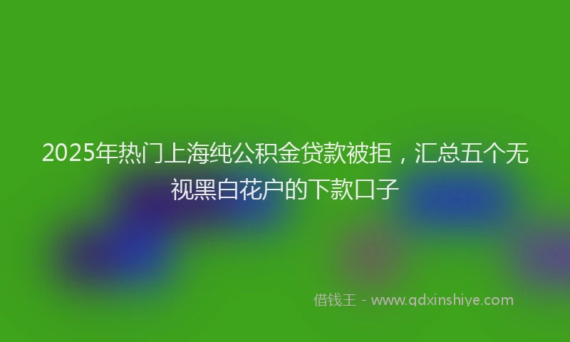 2025年热门上海纯公积金贷款被拒，汇总五个无视黑白花户的下款口子