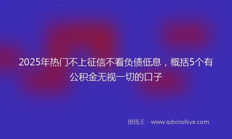 2025年热门不上征信不看负债低息，概括5个有公积金无视一切的口子