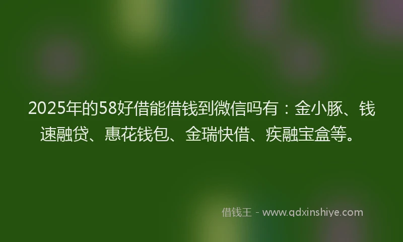 2025年的58好借能借钱到微信吗有：金小豚、钱速融贷、惠花钱包、金瑞快借、疾融宝盒等。