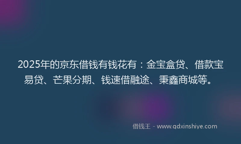 2025年的京东借钱有钱花有：金宝盒贷、借款宝易贷、芒果分期、钱速借融途、秉鑫商城等。