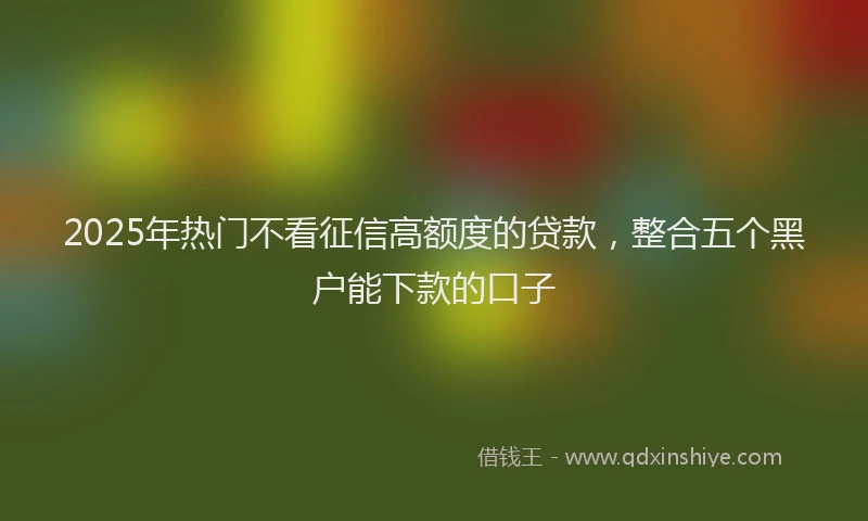 2025年热门不看征信高额度的贷款，整合五个黑户能下款的口子