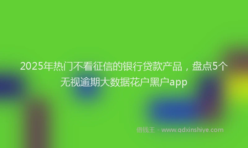 2025年热门不看征信的银行贷款产品，盘点5个无视逾期大数据花户黑户app