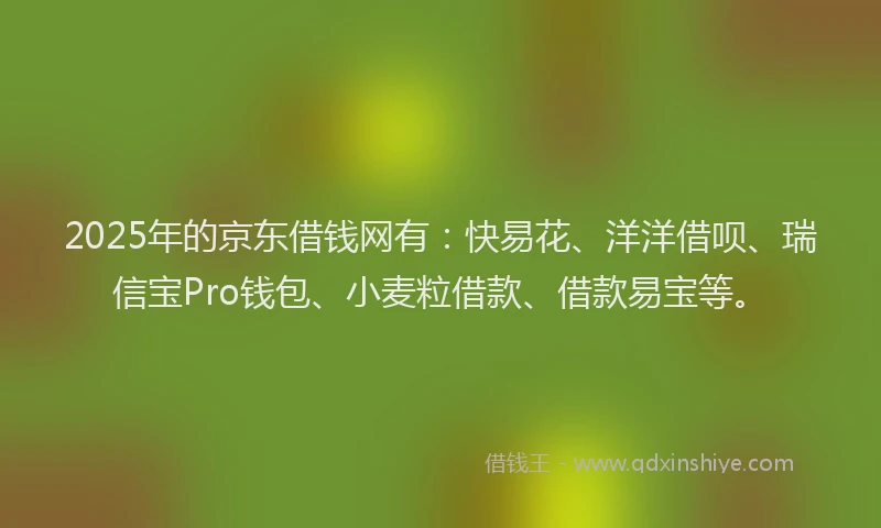 2025年的京东借钱网有：快易花、洋洋借呗、瑞信宝Pro钱包、小麦粒借款、借款易宝等。