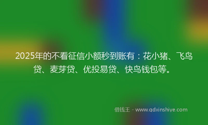 2025年的不看征信小额秒到账有：花小猪、飞鸟贷、麦芽贷、优投易贷、快鸟钱包等。