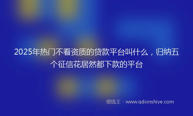 2025年热门不看资质的贷款平台叫什么，归纳五个征信花居然都下款的平台