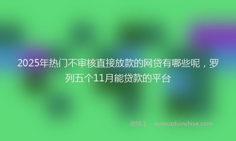 2025年热门不审核直接放款的网贷有哪些呢，罗列五个11月能贷款的平台