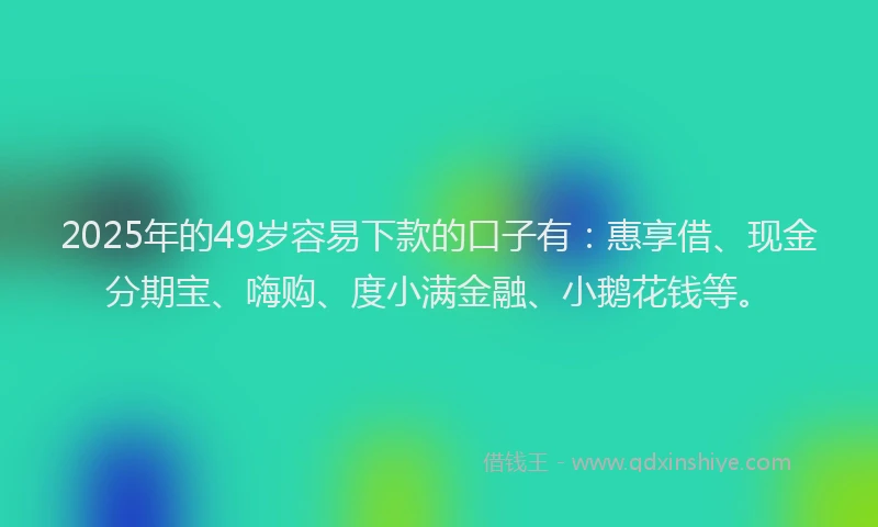 2025年的49岁容易下款的口子有：惠享借、现金分期宝、嗨购、度小满金融、小鹅花钱等。
