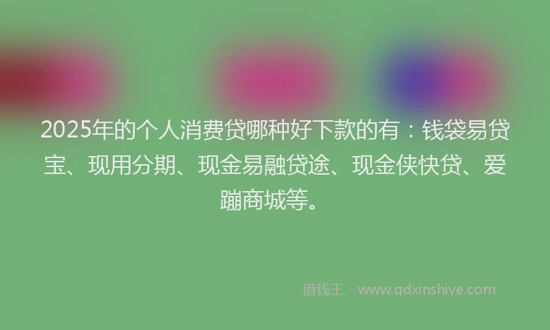 2025年的个人消费贷哪种好下款的有：钱袋易贷宝、现用分期、现金易融贷途、现金侠快贷、爱蹦商城等。