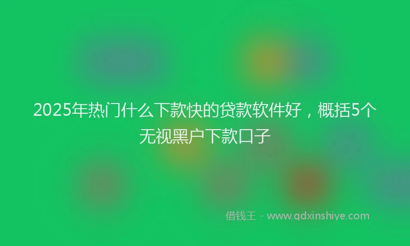 2025年热门什么下款快的贷款软件好，概括5个无视黑户下款口子