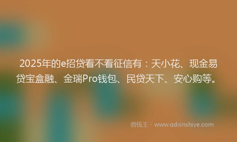2025年的e招贷看不看征信有：天小花、现金易贷宝盒融、金瑞Pro钱包、民贷天下、安心购等。