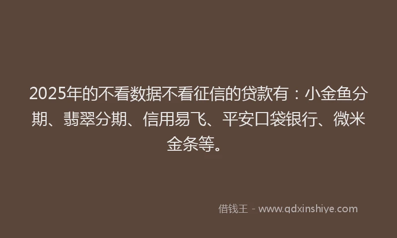 2025年的不看数据不看征信的贷款有：小金鱼分期、翡翠分期、信用易飞、平安口袋银行、微米金条等。