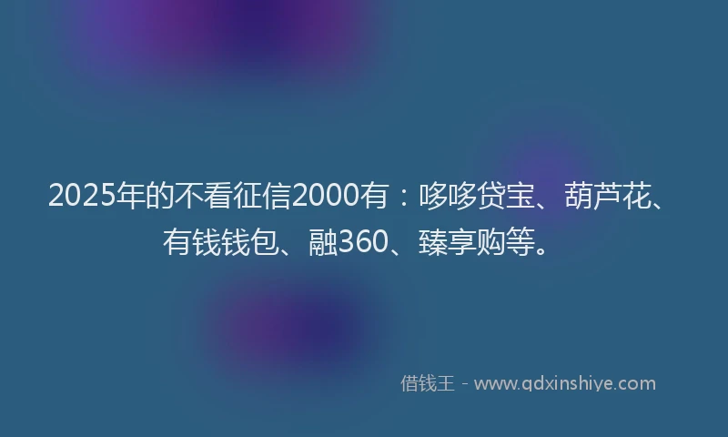 2025年的不看征信2000有：哆哆贷宝、葫芦花、有钱钱包、融360、臻享购等。