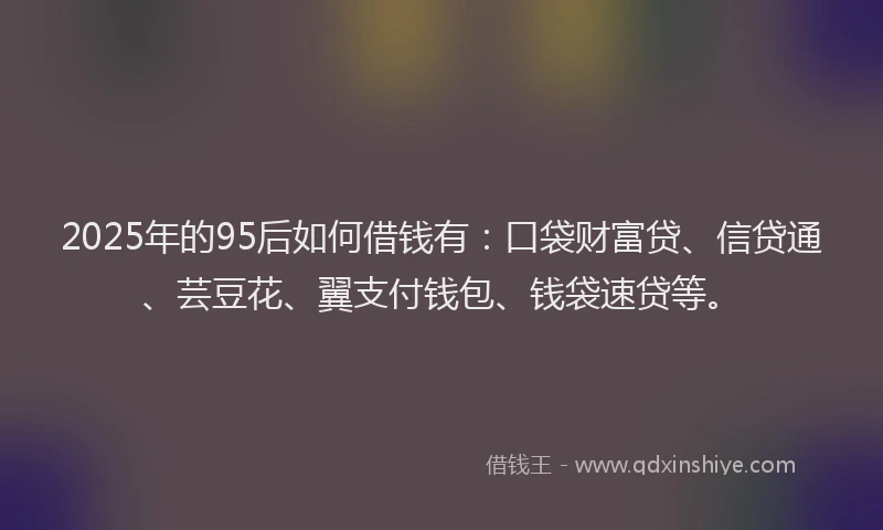 2025年的95后如何借钱有：口袋财富贷、信贷通、芸豆花、翼支付钱包、钱袋速贷等。