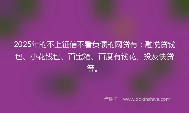 2025年的不上征信不看负债的网贷有：融悦贷钱包、小花钱包、百宝箱、百度有钱花、投友快贷等。