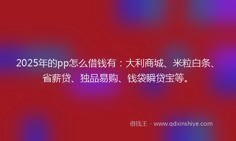 2025年的pp怎么借钱有:大利商城、米粒白条、省薪贷、独品易购、钱袋瞬贷宝等。