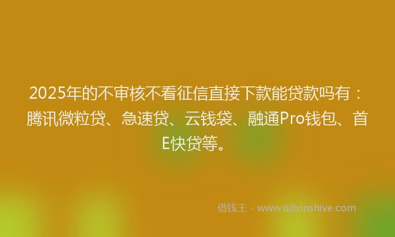 2025年的不审核不看征信直接下款能贷款吗有：腾讯微粒贷、急速贷、云钱袋、融通Pro钱包、首E快贷等。