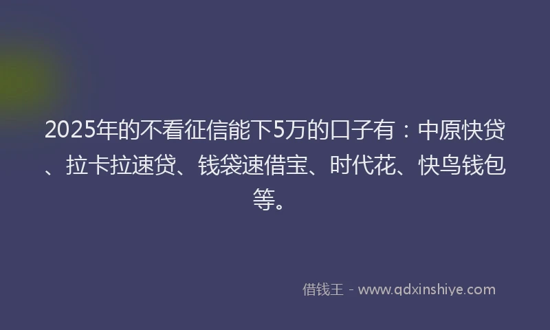 2025年的不看征信能下5万的口子有：中原快贷、拉卡拉速贷、钱袋速借宝、时代花、快鸟钱包等。