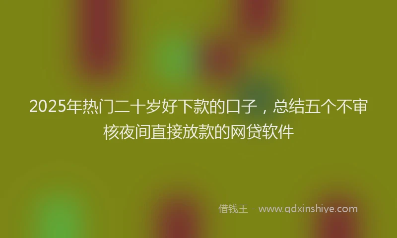 2025年热门二十岁好下款的口子，总结五个不审核夜间直接放款的网贷软件