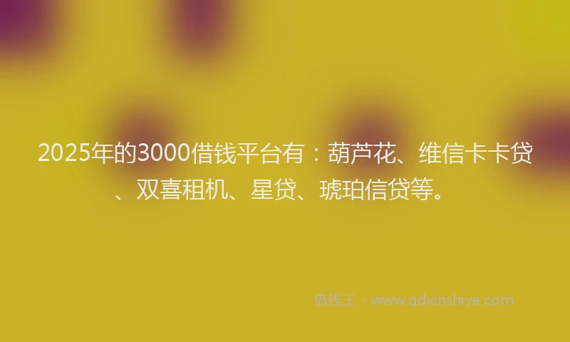 2025年的3000借钱平台有：葫芦花、维信卡卡贷、双喜租机、星贷、琥珀信贷等。