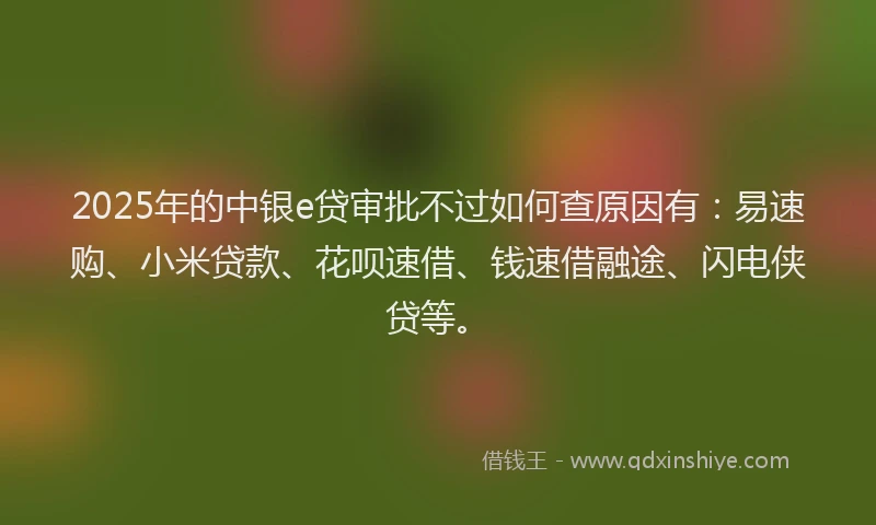 2025年的中银e贷审批不过如何查原因有：易速购、小米贷款、花呗速借、钱速借融途、闪电侠贷等。