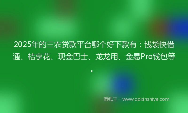 2025年的三农贷款平台哪个好下款有：钱袋快借通、桔享花、现金巴士、龙龙用、金易Pro钱包等。