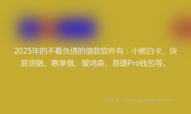 2025年的不看负债的借款软件有：小熊白卡、快易贷融、惠享借、爱鸿森、易捷Pro钱包等。