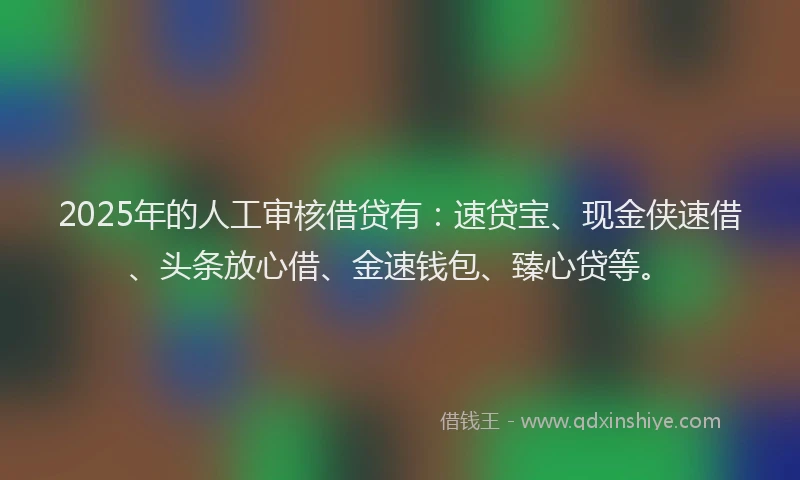 2025年的人工审核借贷有：速贷宝、现金侠速借、头条放心借、金速钱包、臻心贷等。