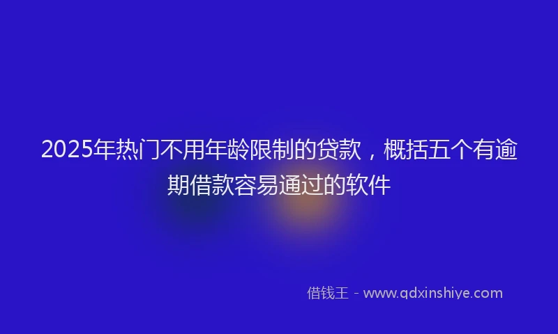 2025年热门不用年龄限制的贷款，概括五个有逾期借款容易通过的软件