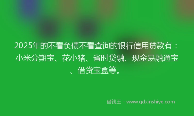 2025年的不看负债不看查询的银行信用贷款有：小米分期宝、花小猪、省时贷融、现金易融通宝、借贷宝盒等。