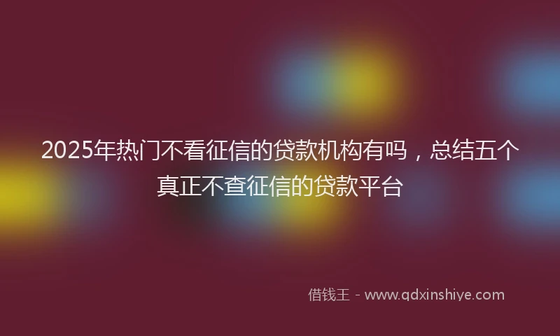 2025年热门不看征信的贷款机构有吗，总结五个真正不查征信的贷款平台