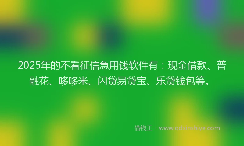 2025年的不看征信急用钱软件有：现金借款、普融花、哆哆米、闪贷易贷宝、乐贷钱包等。