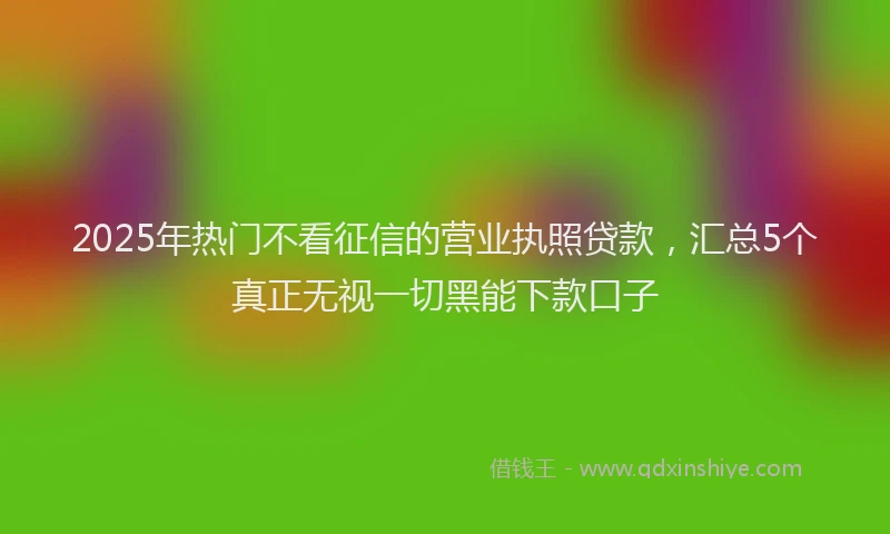 2025年热门不看征信的营业执照贷款，汇总5个真正无视一切黑能下款口子