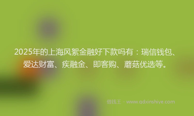 2025年的上海风絮金融好下款吗有：瑞信钱包、爱达财富、疾融金、即客购、蘑菇优选等。