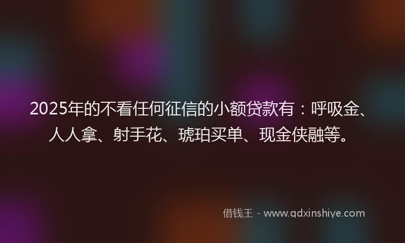 2025年的不看任何征信的小额贷款有：呼吸金、人人拿、射手花、琥珀买单、现金侠融等。