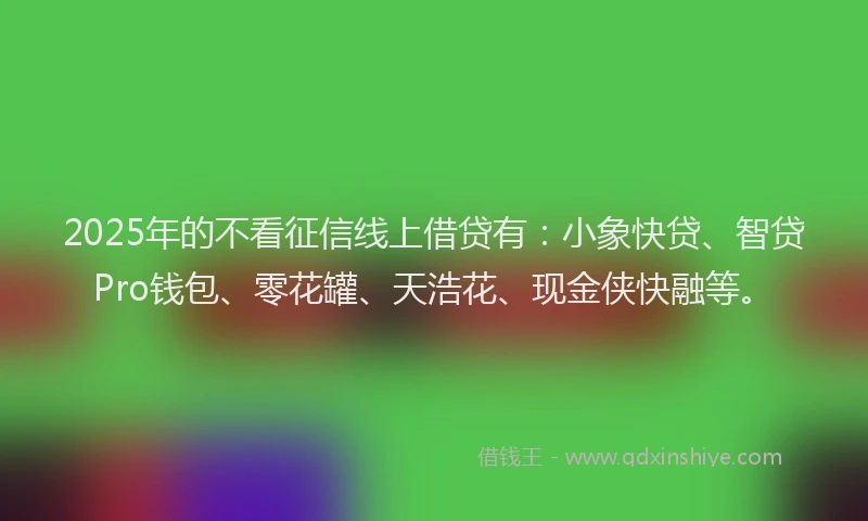 2025年的不看征信线上借贷有：小象快贷、智贷Pro钱包、零花罐、天浩花、现金侠快融等。