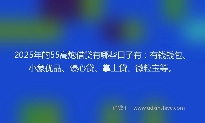 2025年的55高炮借贷有哪些口子有：有钱钱包、小象优品、臻心贷、掌上贷、微粒宝等。