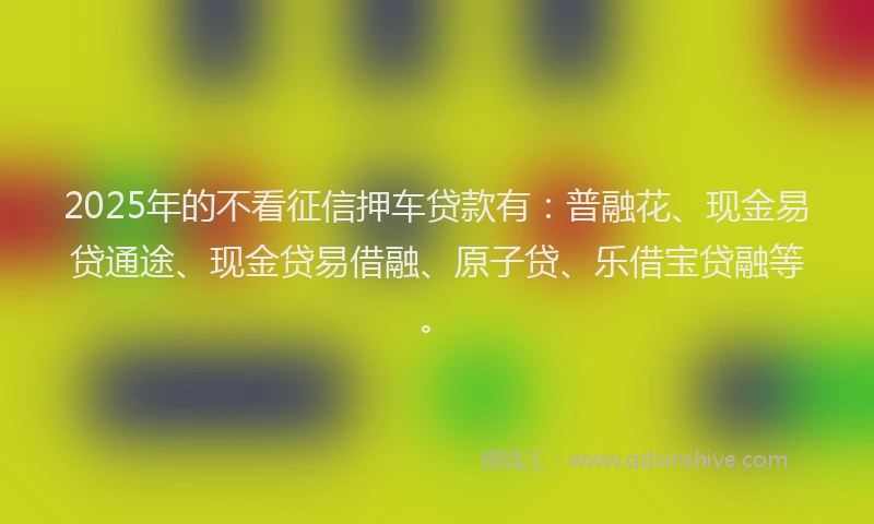 2025年的不看征信押车贷款有：普融花、现金易贷通途、现金贷易借融、原子贷、乐借宝贷融等。