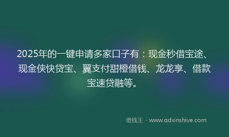 2025年的一键申请多家口子有：现金秒借宝途、现金侠快贷宝、翼支付甜橙借钱、龙龙享、借款宝速贷融等。