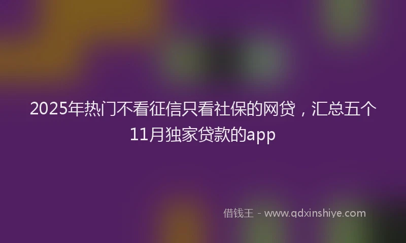 2025年热门不看征信只看社保的网贷，汇总五个11月独家贷款的app