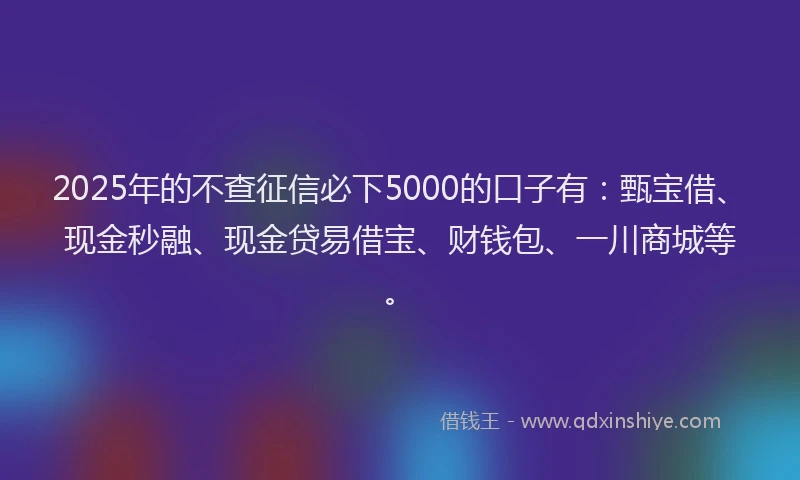 2025年的不查征信必下5000的口子有：甄宝借、现金秒融、现金贷易借宝、财钱包、一川商城等。