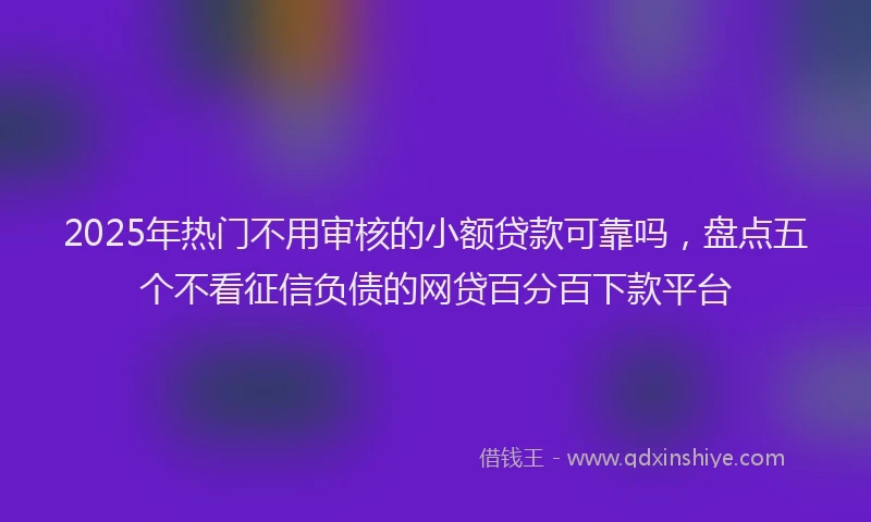 2025年热门不用审核的小额贷款可靠吗，盘点五个不看征信负债的网贷百分百下款平台