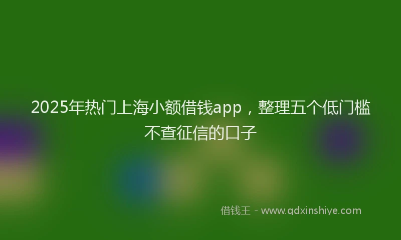 2025年热门上海小额借钱app，整理五个低门槛不查征信的口子