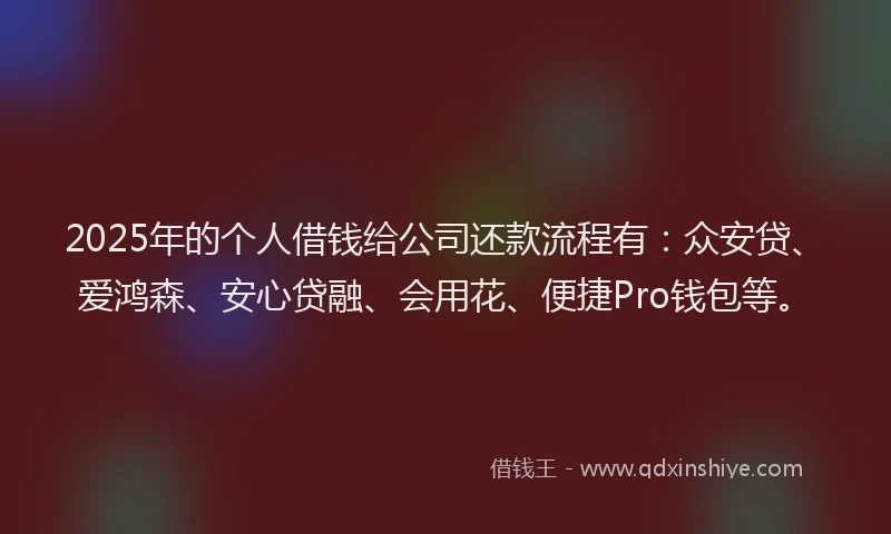 2025年的个人借钱给公司还款流程有：众安贷、爱鸿森、安心贷融、会用花、便捷Pro钱包等。