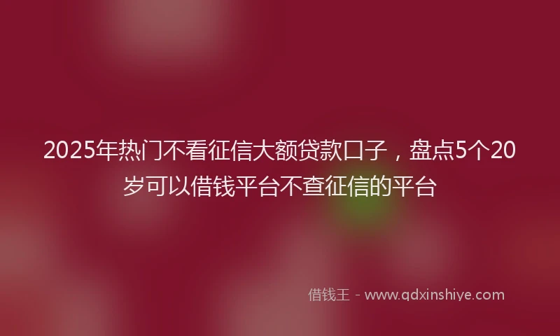 2025年热门不看征信大额贷款口子，盘点5个20岁可以借钱平台不查征信的平台
